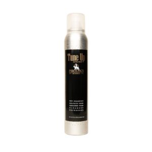 TUNE UP CLEAR DRY SHAMPOO